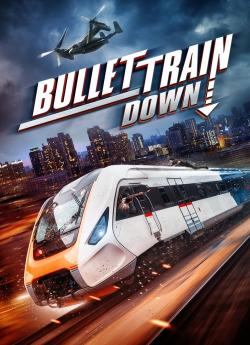 Bullet Train Down flemmix