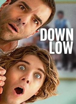 Down Low flemmix