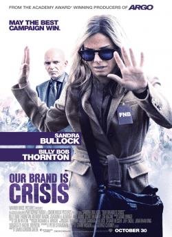 Our Brand is Crisis flemmix