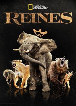 Queens - Saison 1 flemmix