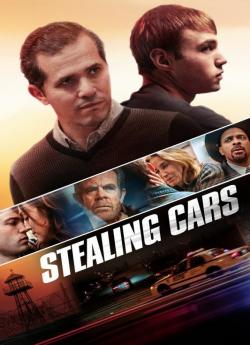 Stealing Cars flemmix