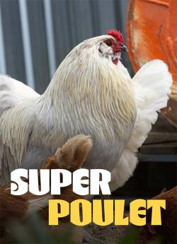 Super Poulet flemmix