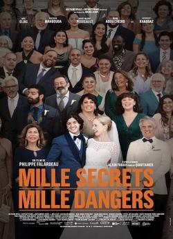 Mille secrets mille dangers flemmix