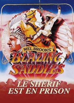 Le Shérif est en prison flemmix