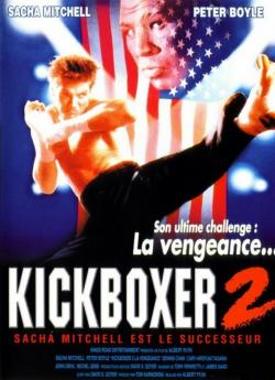 Kickboxer 2: Le Successeur flemmix