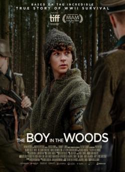 The Boy in the Woods flemmix