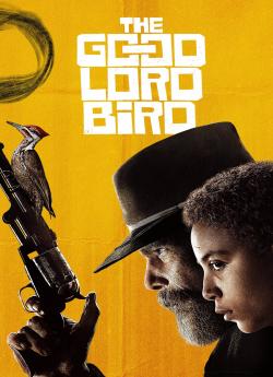 The Good Lord Bird - Saison 1 flemmix