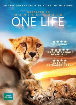 One Life flemmix
