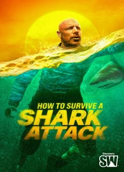 Survivre aux requins : mode d'emploi flemmix