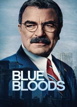 Blue Bloods - Saison 14 flemmix