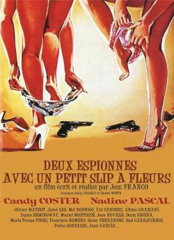Deux espionnes avec un petit slip a fleurs flemmix