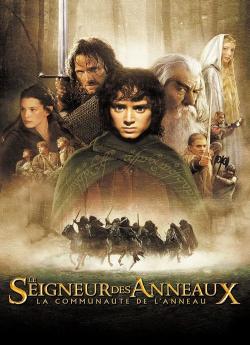 Le Seigneur des Anneaux : La Communauté de l'Anneau flemmix