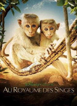 Au Royaume des Singes flemmix