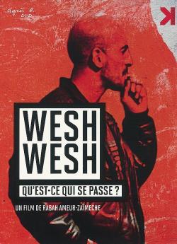 Wesh Wesh, qu'est-ce qui se passe ? flemmix
