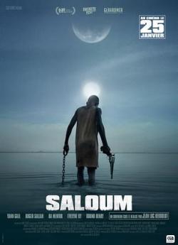 Saloum flemmix