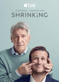 Shrinking - Saison 1 flemmix