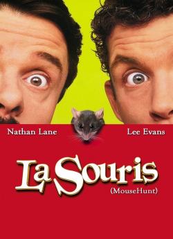 La Souris flemmix