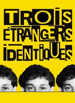 Three Identical Strangers flemmix