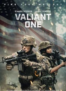 Valiant One flemmix