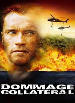 Dommage collatéral flemmix