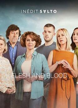 Secrets de famille - Saison 1 flemmix