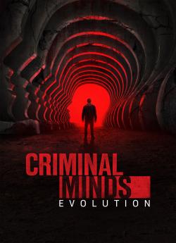 Esprits Criminels : Evolution - Saison 4 flemmix