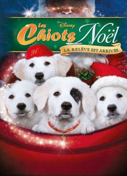 Les Chiots Noël, la relève est arrivée flemmix