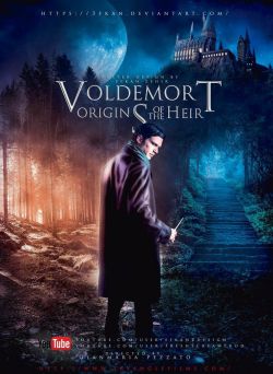 Voldemort : Origins of the Heir flemmix