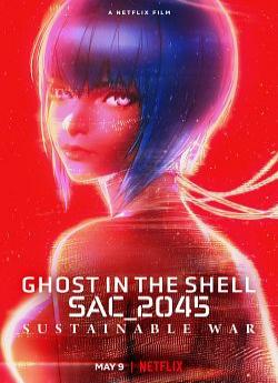 Ghost in the Shell: SAC_2045 Sustainable War flemmix