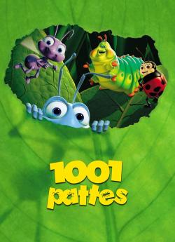 1001 Pattes flemmix