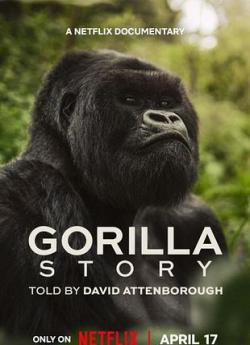 Une histoire de gorilles avec David Attenborough flemmix