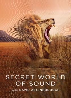 Le monde secret du son avec David Attenborough - Saison 1 flemmix
