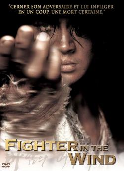 Fighter in the wind flemmix