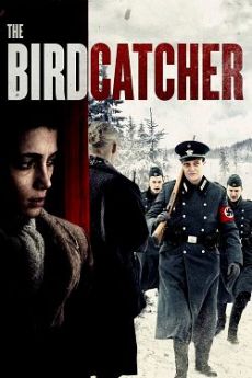 The Birdcatcher flemmix