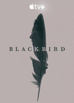 Black Bird - Saison 1 flemmix