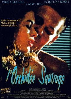 L'Orchidée sauvage flemmix