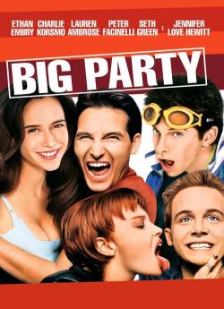 Big party flemmix