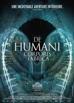 De Humani Corporis Fabrica flemmix