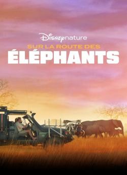Sur la Route des Eléphants flemmix