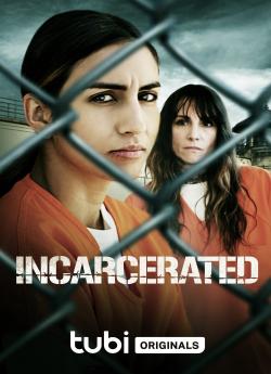 Incarcerated flemmix