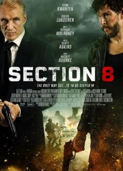 Section 8 flemmix