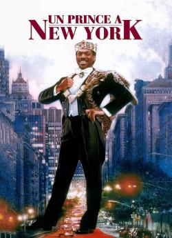 Un prince à New York flemmix