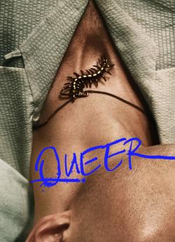 Queer flemmix