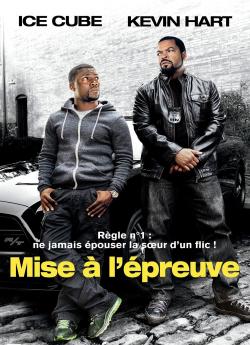Mise à l'épreuve flemmix