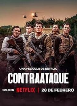 Counterstrike flemmix