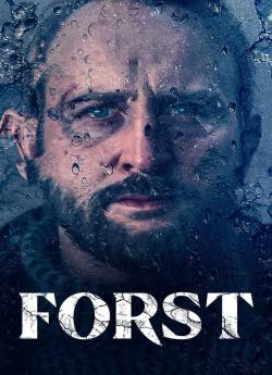 Detective Forst - Saison 1 flemmix