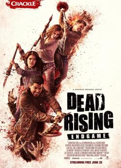 Dead Rising: Endgame flemmix
