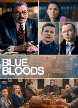 Blue Bloods - Saison 13 flemmix
