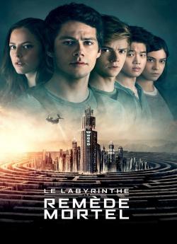 Le Labyrinthe : le remède mortel flemmix