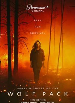 Wolf Pack - Saison 1 flemmix